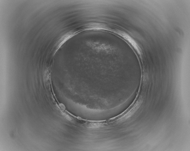 X0000115161385200911171253