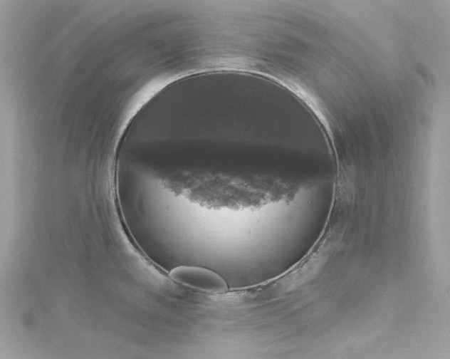 X0000115161389200911171253