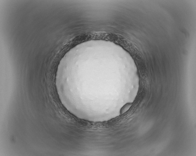 X0000115161393200911171252