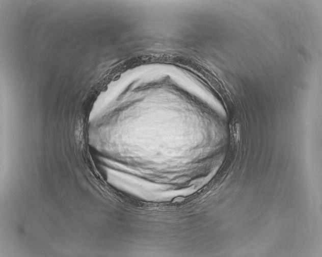 X0000115161396200911171252