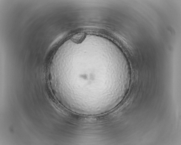 X0000115161403200911171252