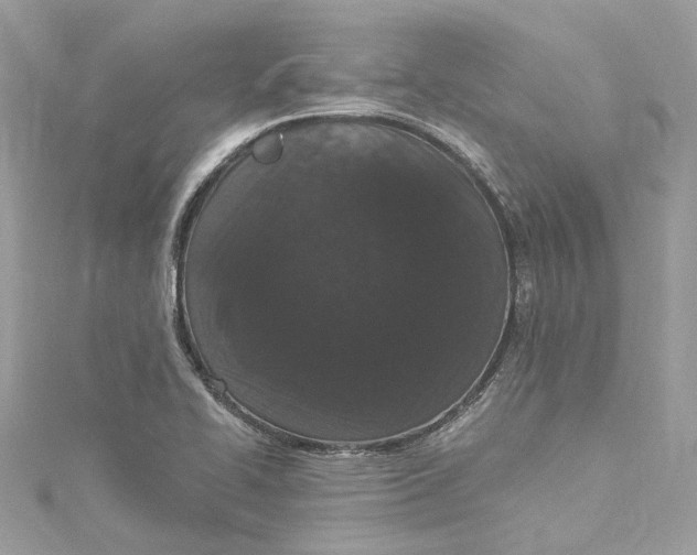 X0000115161414200911171252
