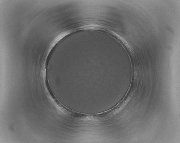 X0000115161418200911171252