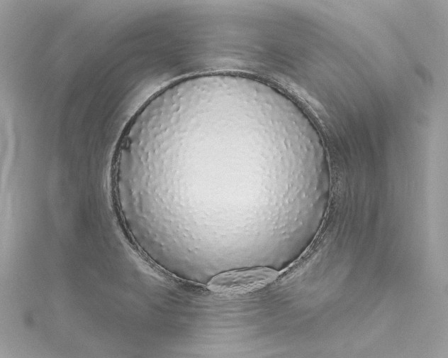 X0000115161423200911171252