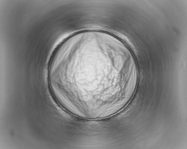X0000115161424200911171252