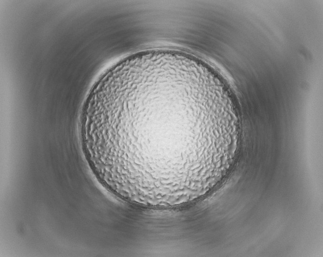 X0000115161429200911171252