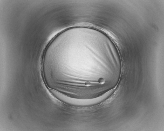 X0000115161430200911171252