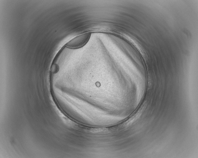 X0000115161434200911171252