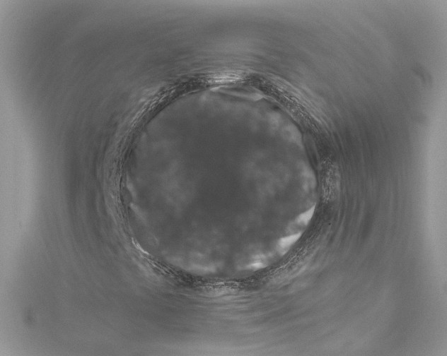 X0000115161441200911171252