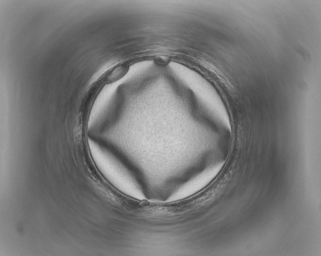X0000115161450200911171252