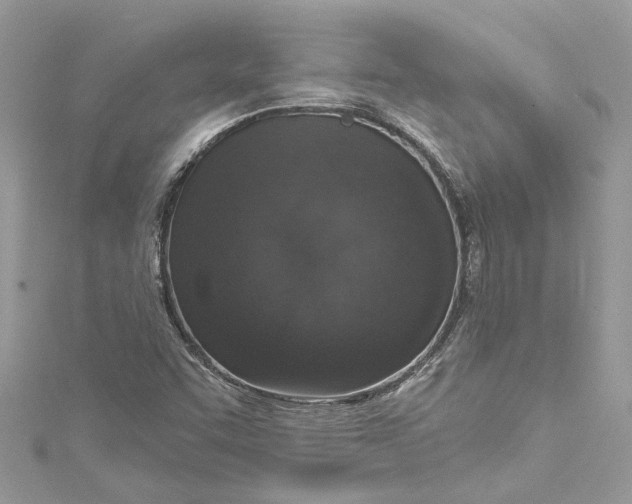 X0000115161455200911171252