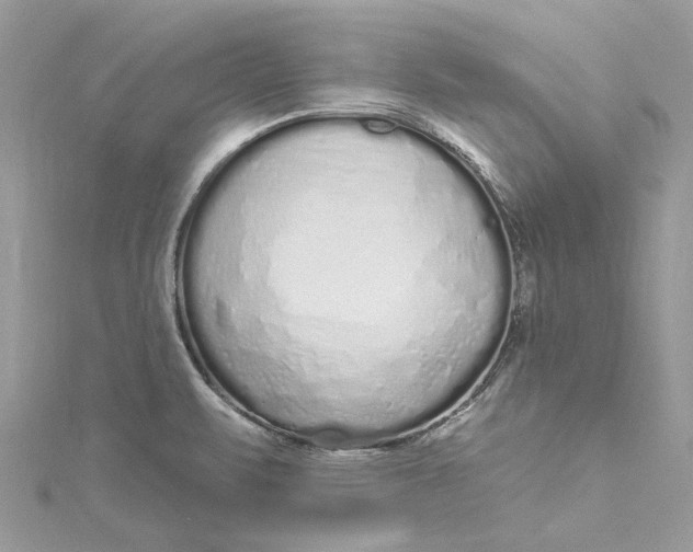 X0000115161471200911171251