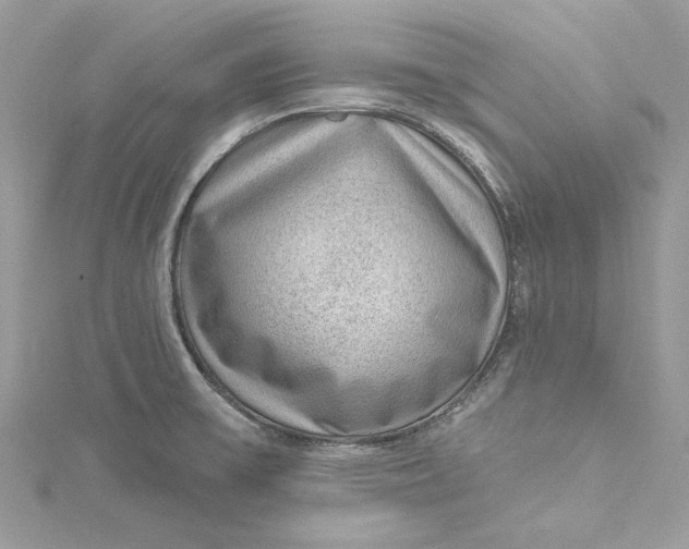 X0000115161475200911171251