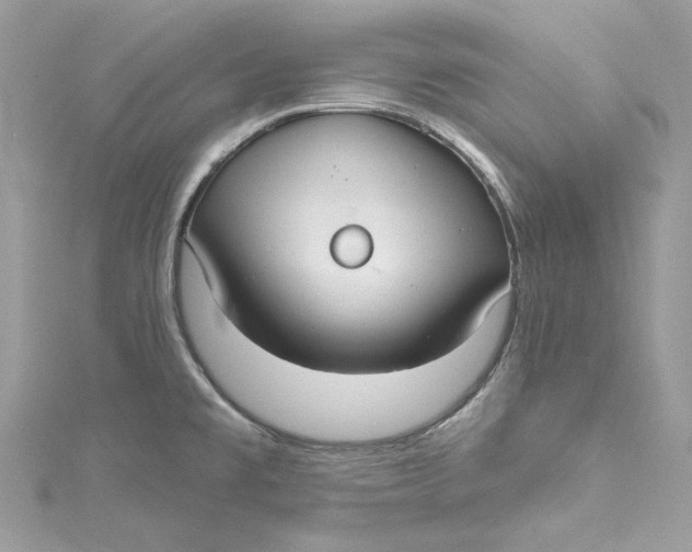 X0000115161477200911171251