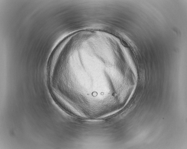 X0000115161487200911171251