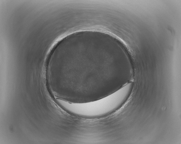 X0000115161506200911171251