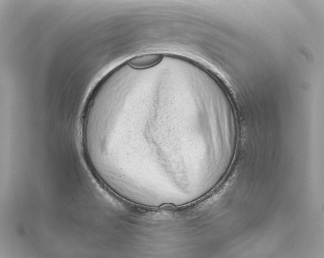 X0000115161517200911171251