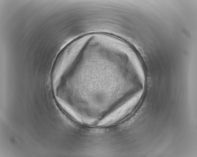 X0000115161521200911171251
