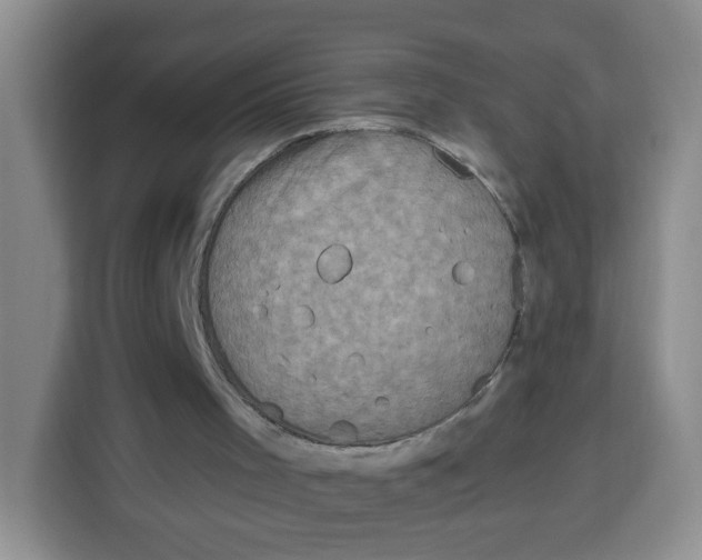 X0000115160001200911241558