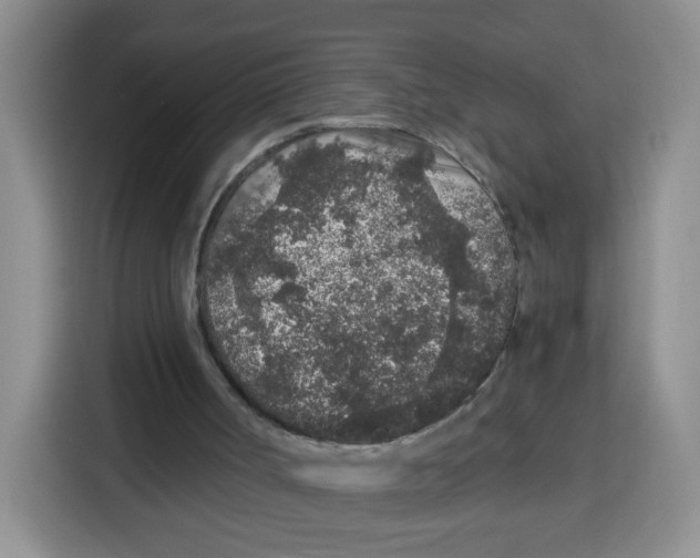 X0000115160002200911241558