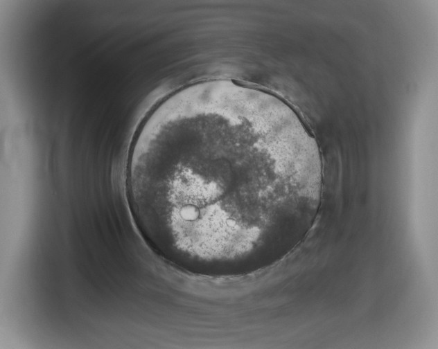 X0000115160003200911241558