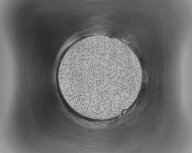 X0000115160004200911241558