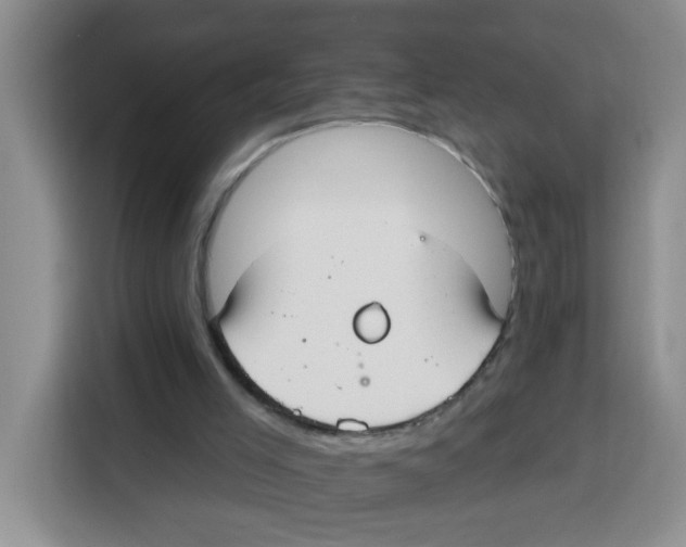 X0000115160005200911241558