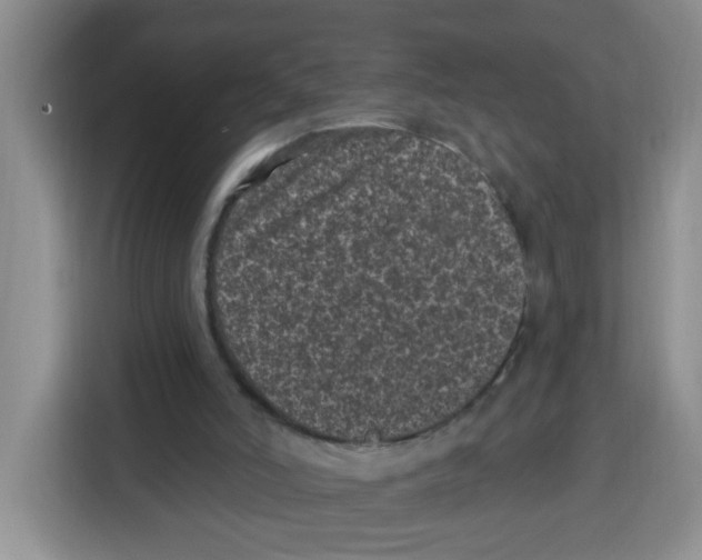 X0000115160006200911241558