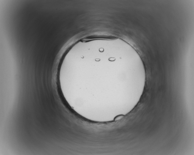 X0000115160007200911241558