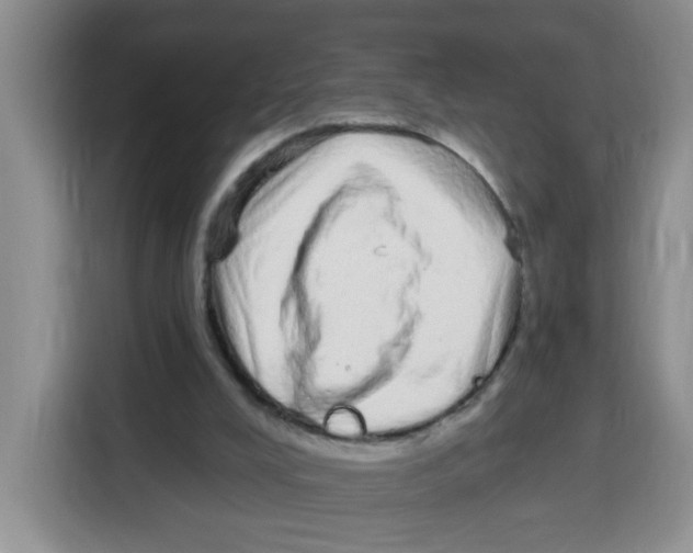 X0000115160008200911241558