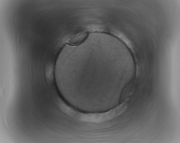 X0000115160009200911241558