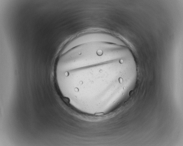 X0000115160015200911241558