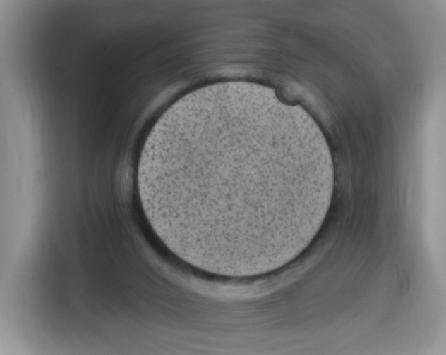 X0000115160016200911241558