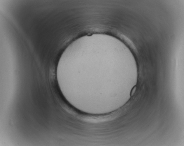 X0000115160017200911241558