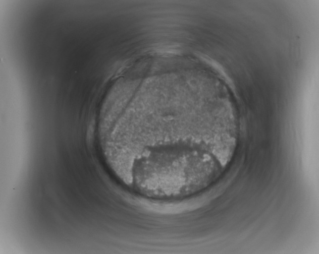 X0000115160018200911241558