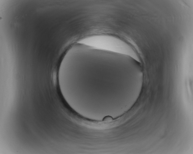 X0000115160019200911241558