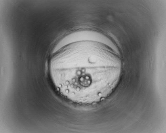 X0000115160020200911241558