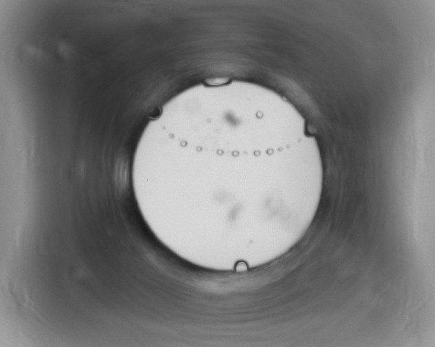 X0000115160021200911241558