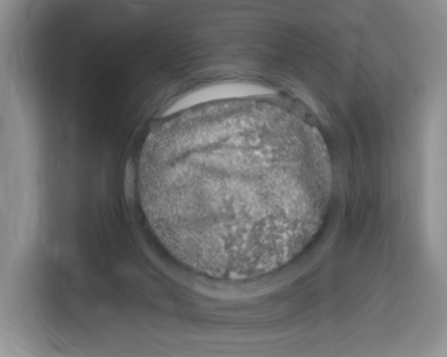 X0000115160022200911241558