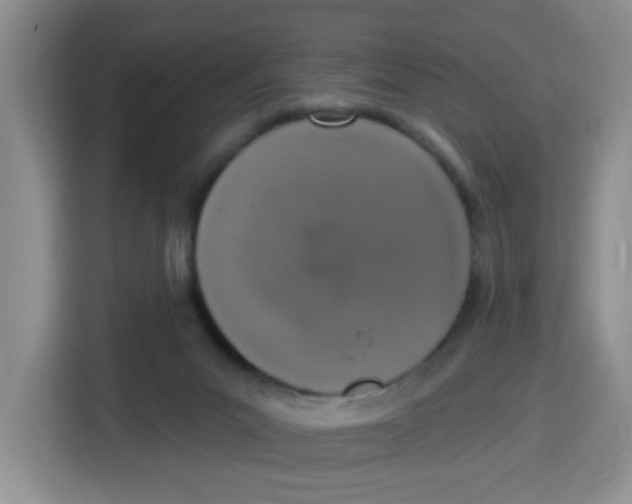 X0000115160023200911241558