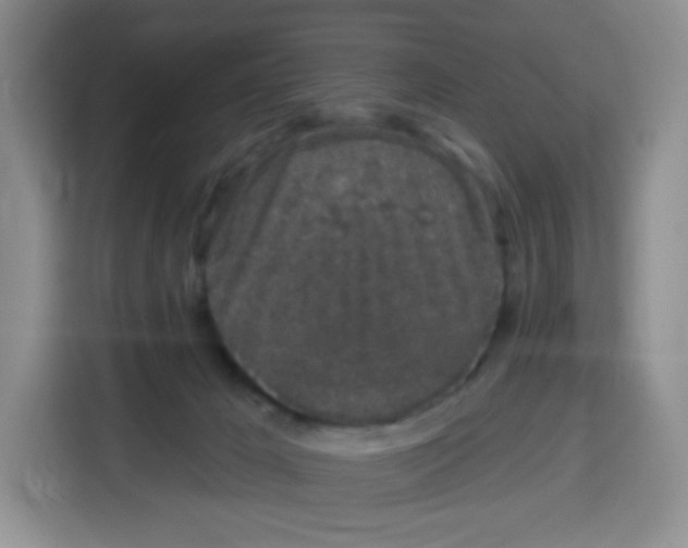 X0000115160029200911241558