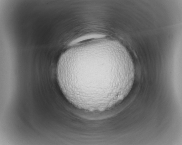 X0000115160034200911241558