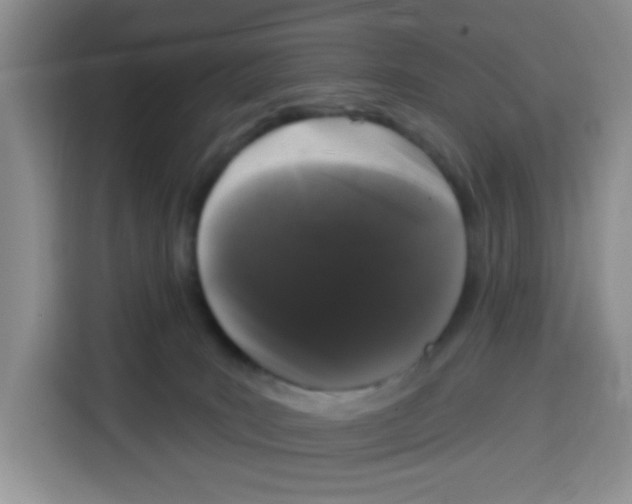 X0000115160035200911241558