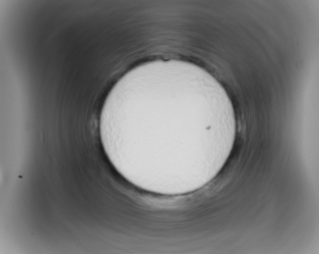 X0000115160036200911241558