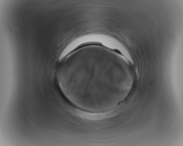 X0000115160039200911241558