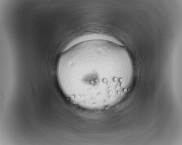 X0000115160040200911241558