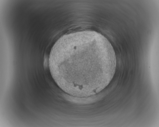 X0000115160042200911241558