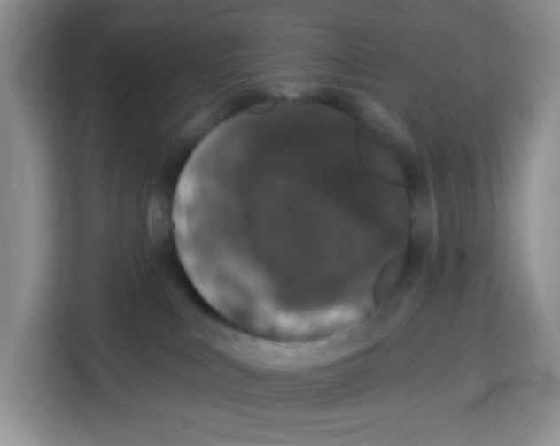 X0000115160043200911241558