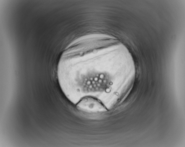 X0000115160044200911241558