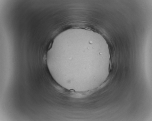 X0000115160045200911241558